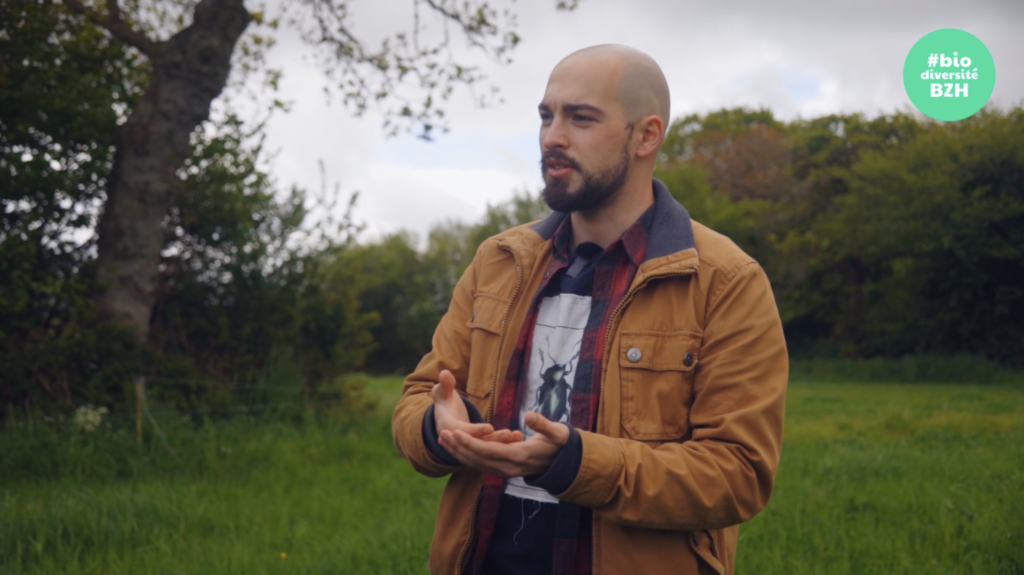 [Vidéo] Trois mousquetaires pour le bocage breton | Agence Bretonne de ...