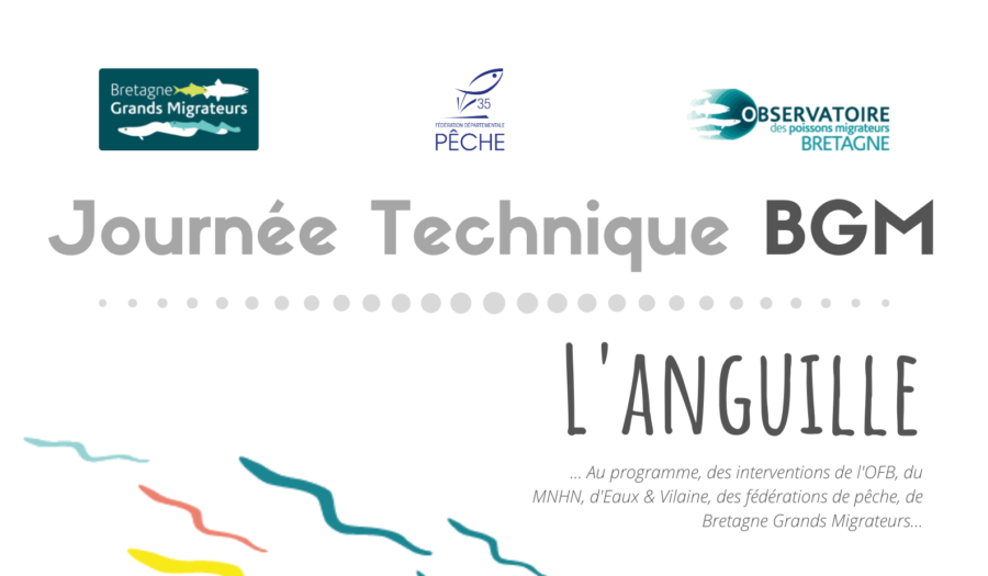 Agenda – 2ème journée technique Bretagne Grands Migrateurs : l’Anguille
