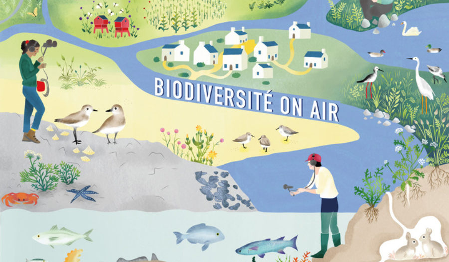 Biodiversité On Air : un podcast sur la trame noire à Lorient