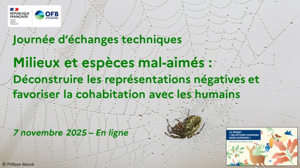 Milieux et espèces mal-aimés : déconstruire les représentations négatives et favoriser la cohabitation avec les humains, journée d&rsquo;échanges techniques, 7 novembre 2025