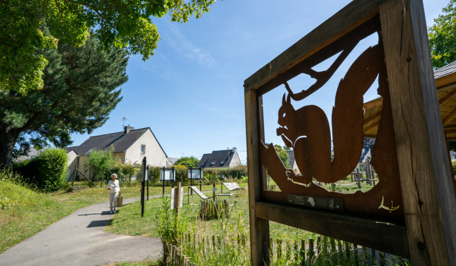 Espèce parapluie, exposition à Pleurtuit (35), Communauté de communes Côte d'Émeraude ©Gilles LECUIR