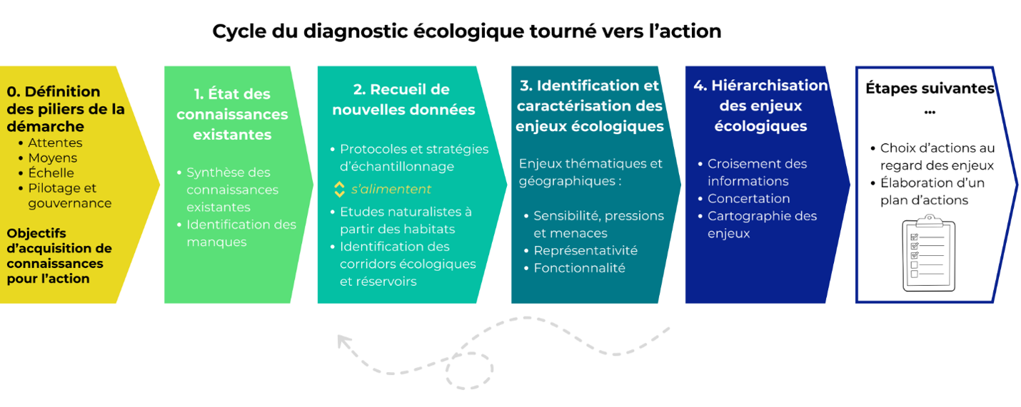 Schéma des étapes du diagnostic écologique tourné vers l'action.