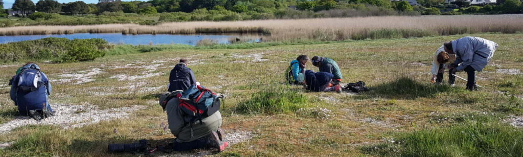 Sortie sentinelles du climat à Suscinio (56) © Juliette Lecagnec