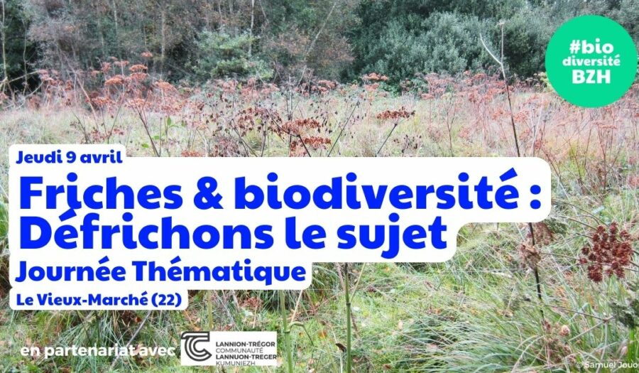 visuel journée thématique friches et biodiversité