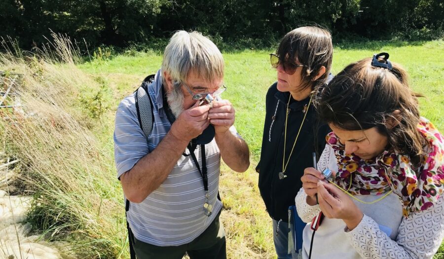 Inventaire participatif de la flore de type bioblitz agricole à la station expérimentale de la Chambre d'agriculture à Auray, septembre 2025. Crédits : Agence Bretonne de la Biodiversité